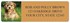 Havanese Address Labels Image 3