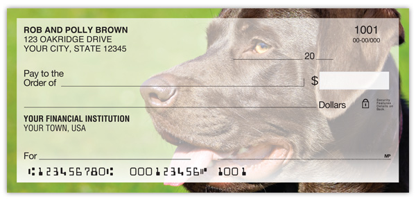 Labrador Checks