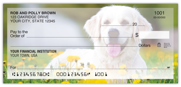 Golden Retriever Checks