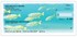 Ocean Wonders Checks Image 4